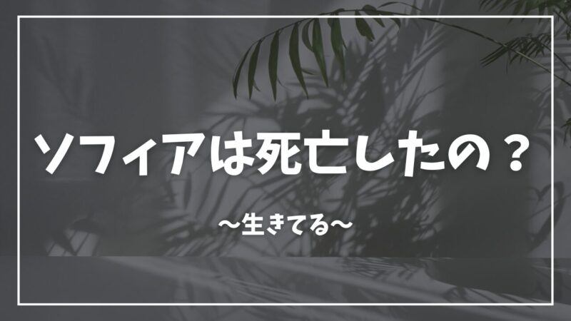 蜘蛛ですが、なにか？ソフィア