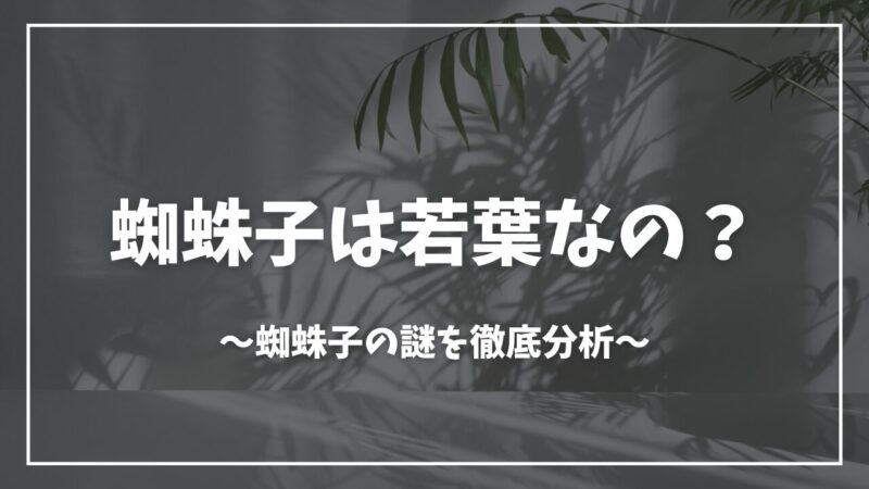 蜘蛛ですが、なにか？若葉