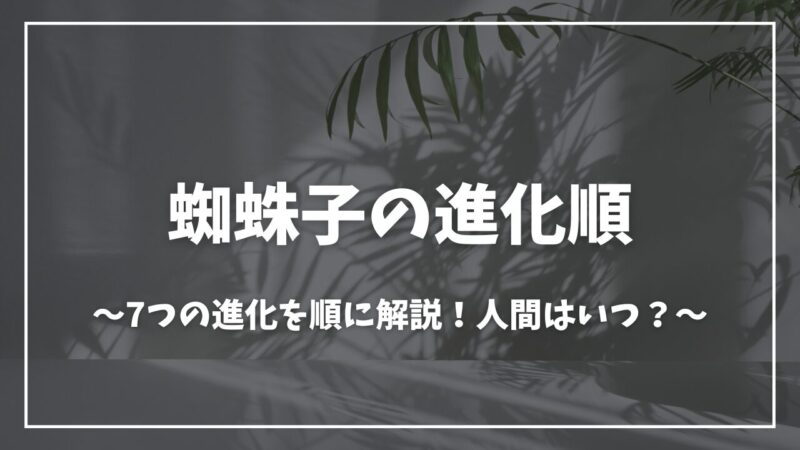 蜘蛛ですが、なにか？蜘蛛子進化